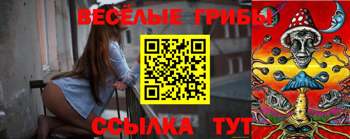закладка  Вход с VPN  Галлюциногенные грибы Magic Shrooms  Пермь  Псилоцибиновые грибы Psilocybine cubensis 